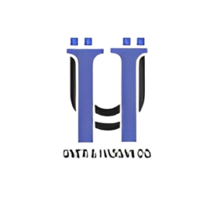 IT Services 24 f